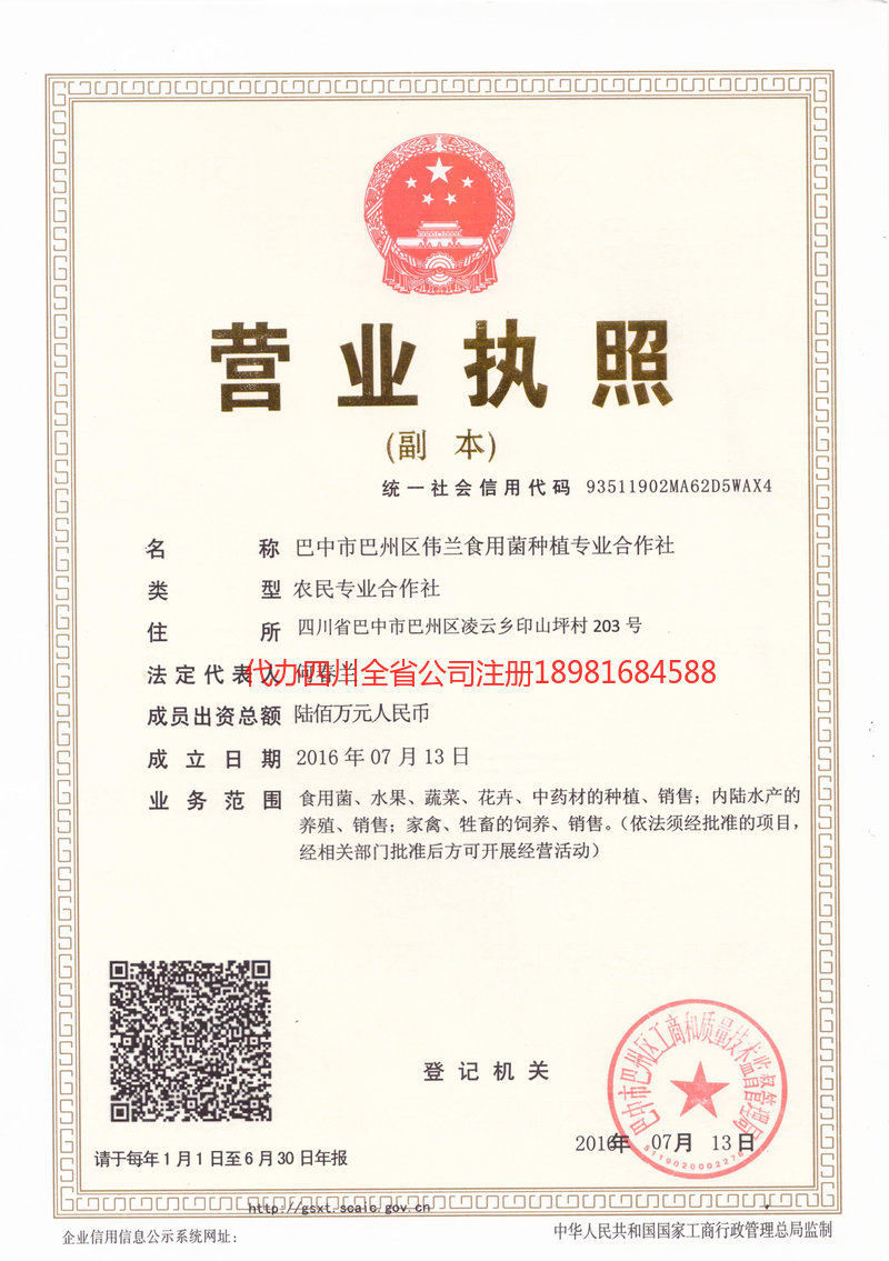 洪江洪江伟兰食用菌种植专业合作社